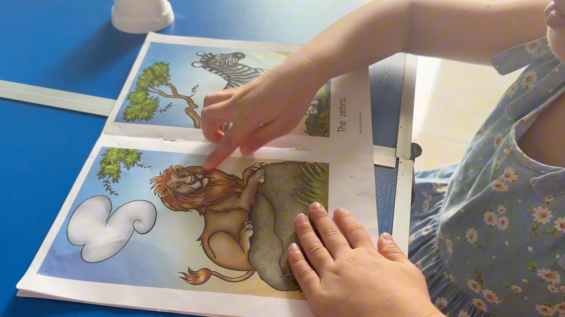 8.25 seven 自主点读 day6 plains animals