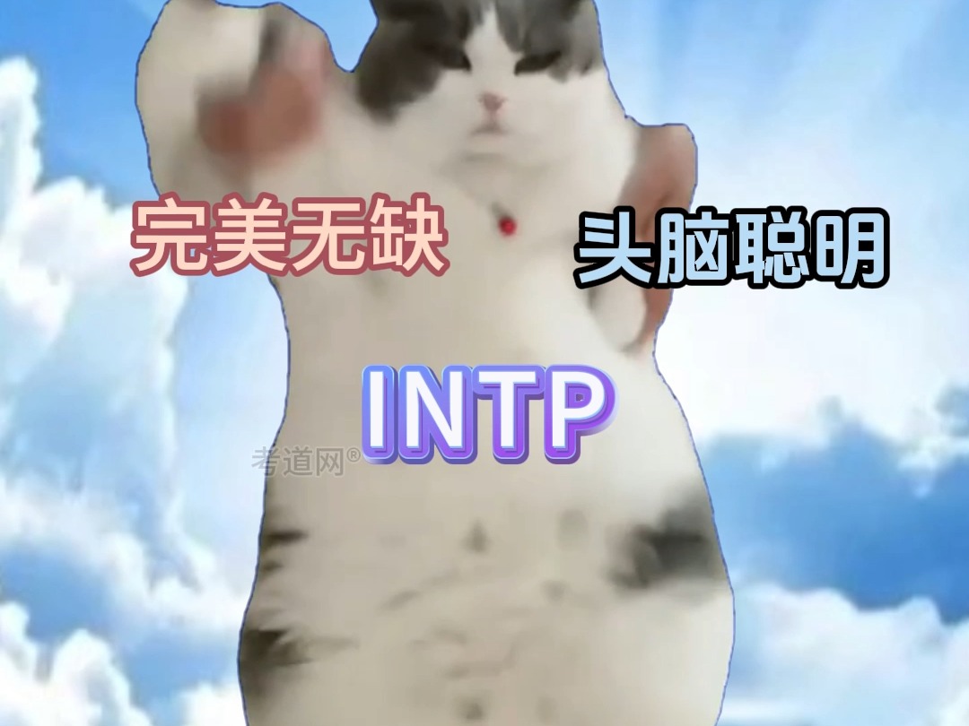 仅占人口3%的最稀有性格类型之——INTP!哔哩哔哩bilibili