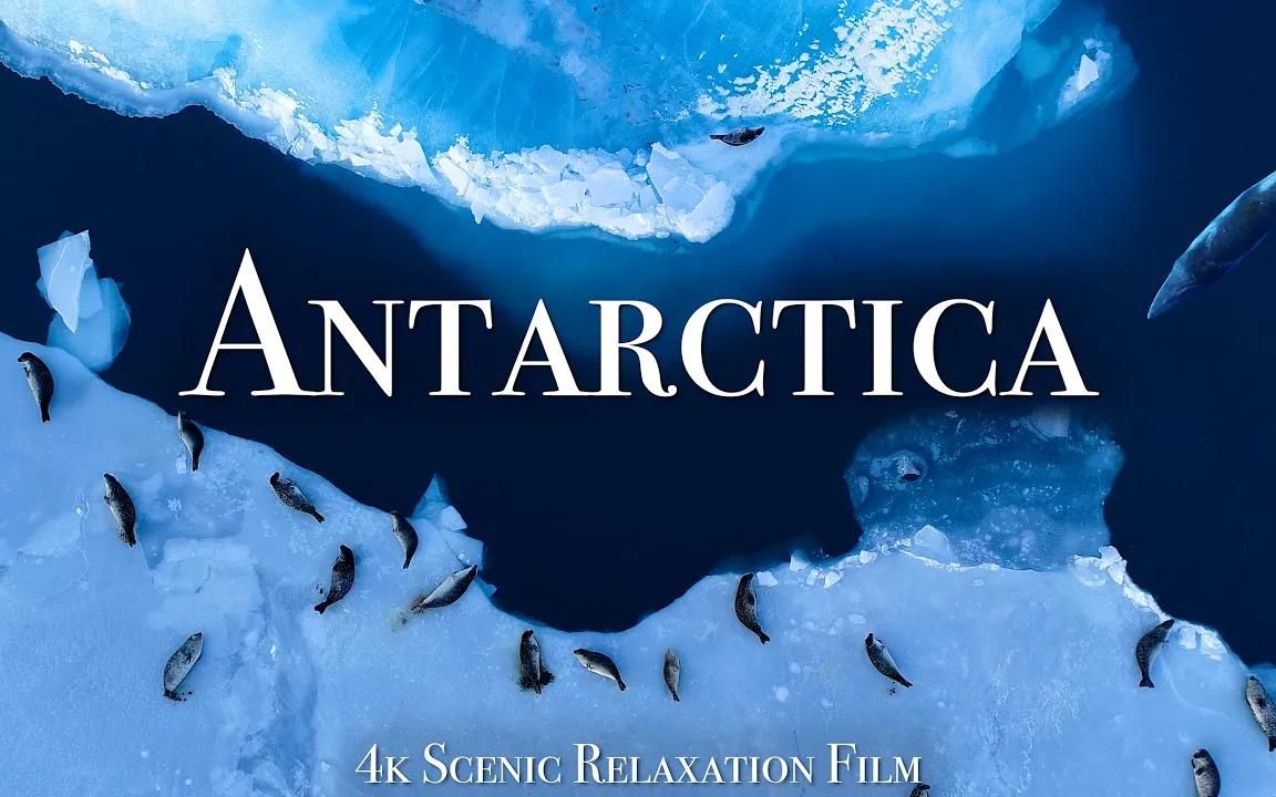 [图]【4K】南极 Antarctica 4K 放松电影 平静音乐