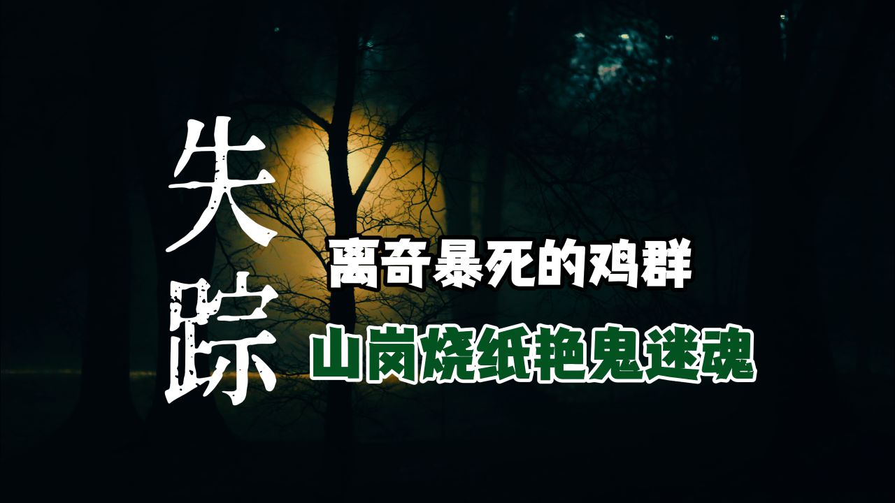 【 冥灯诡谈 】 山岗烧纸遇艳鬼迷魂 丨奇闻异事丨民间故事丨恐怖故事丨鬼怪故事丨灵异事件丨都市奇闻丨校园灵异丨乡村怪谈丨古今奇闻异事哔哩哔哩...