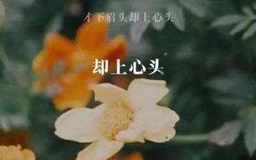 我们一起学唱《月满西楼》#全民k歌#月满西楼#花声匠壹声教唱导师哔哩哔哩bilibili