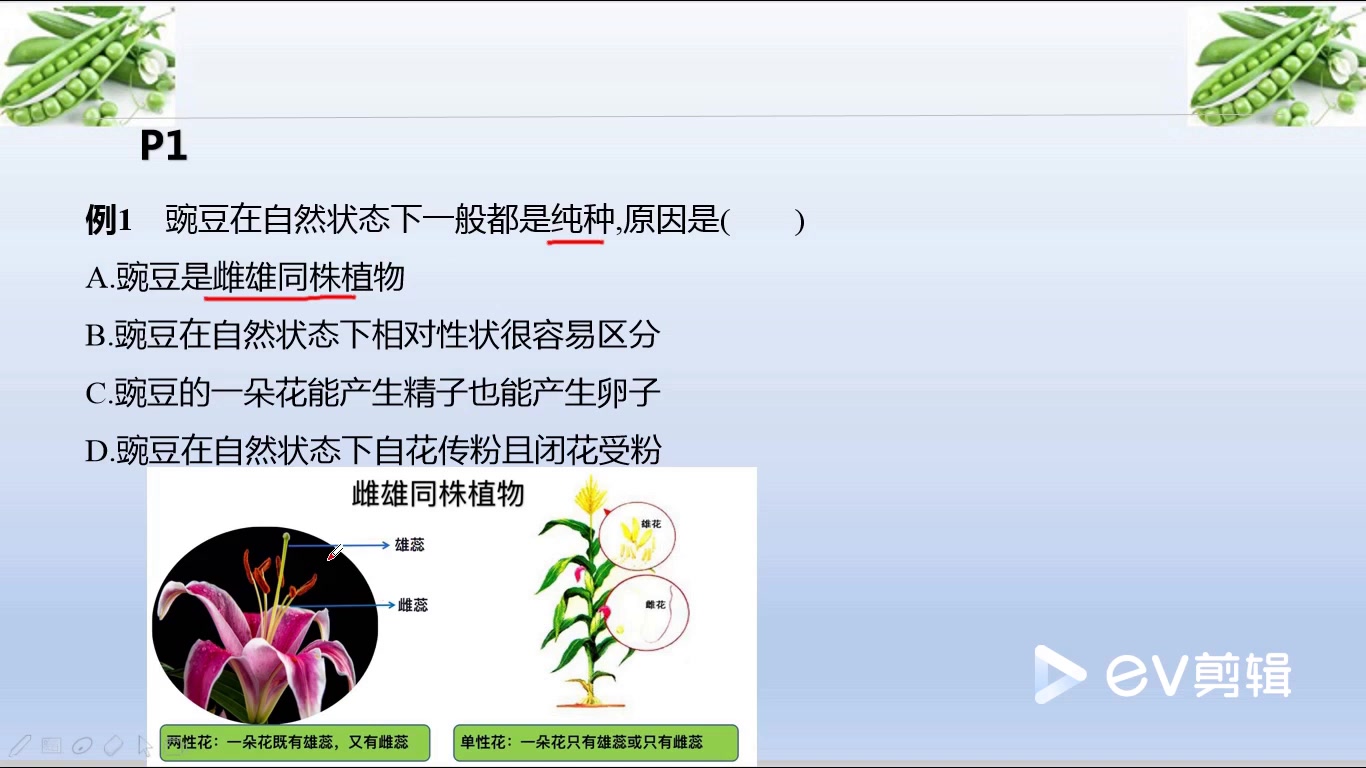 【大庆一中2019级高一年级视频课】(3月31日生物ⷤ𛣤𘽨Ž‰)遗传因子的发现导学案习题哔哩哔哩bilibili