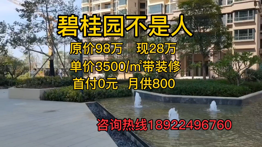 广东肇庆大爆炸,现楼仅28万起,70年产权,买楼即入户,可免费享受12+3教育哔哩哔哩bilibili