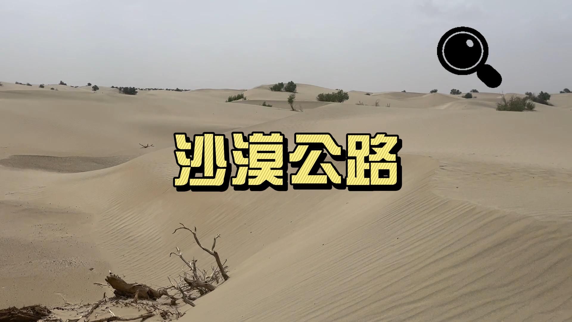 塔里木沙漠公路又称塔克拉玛干沙漠公路,是世界上在流动沙漠中修建的