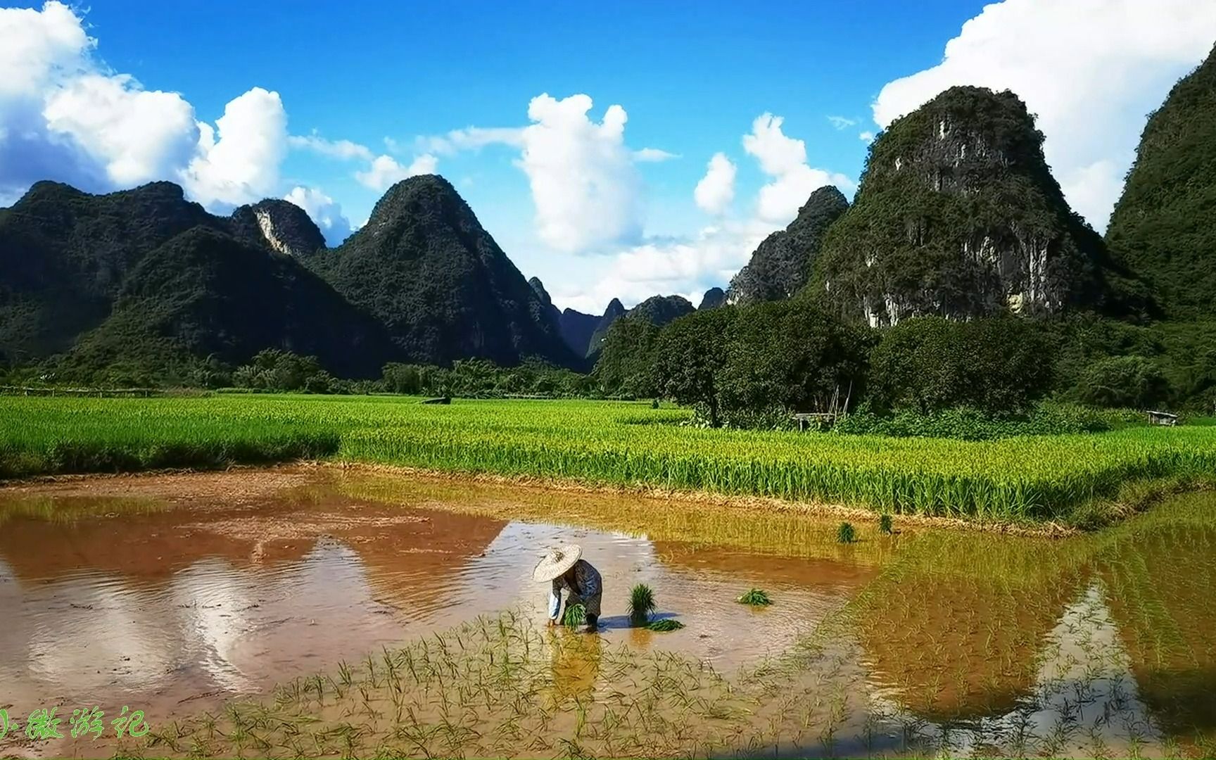 骑行阳朔十里画廊,蓝天白云青山绿山,简直太美了