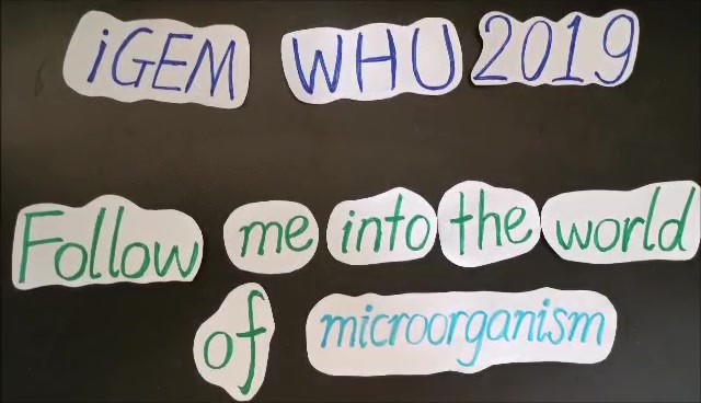 "The world of microorganism" WHU iGEM 2019 带你认识木醋杆菌~哔哩哔哩bilibili