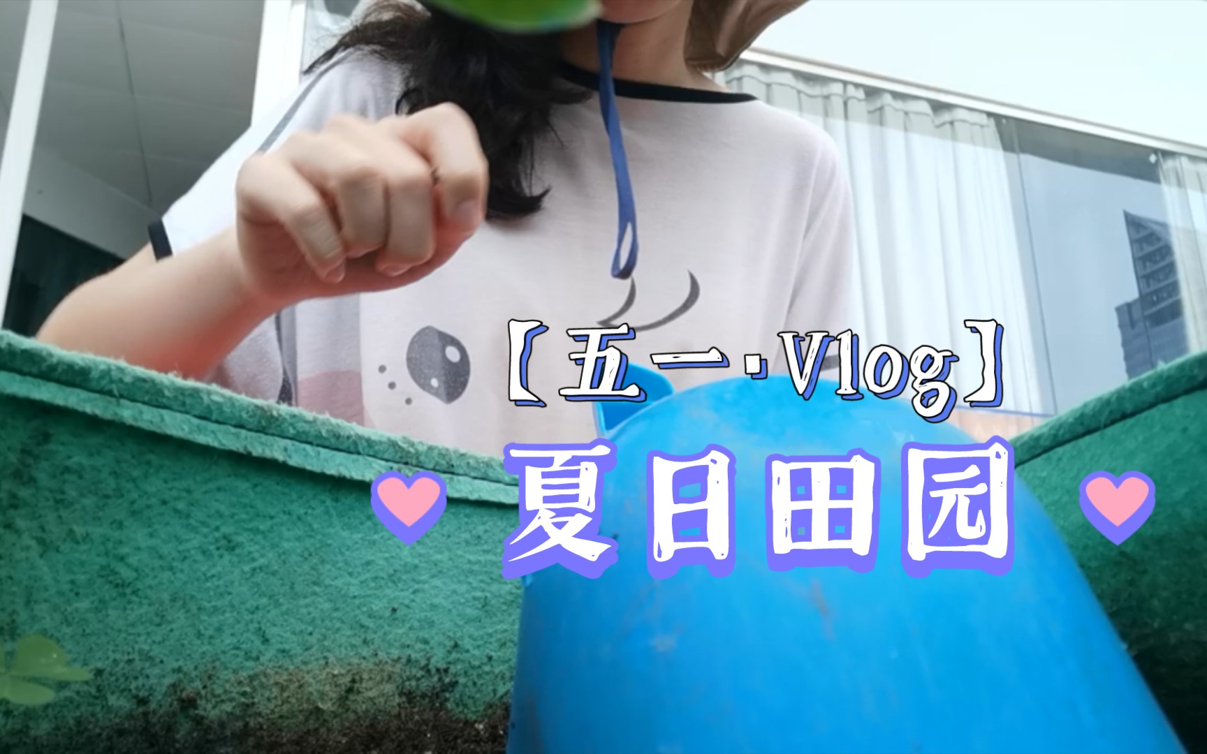 安老师的Vlog041哔哩哔哩bilibili