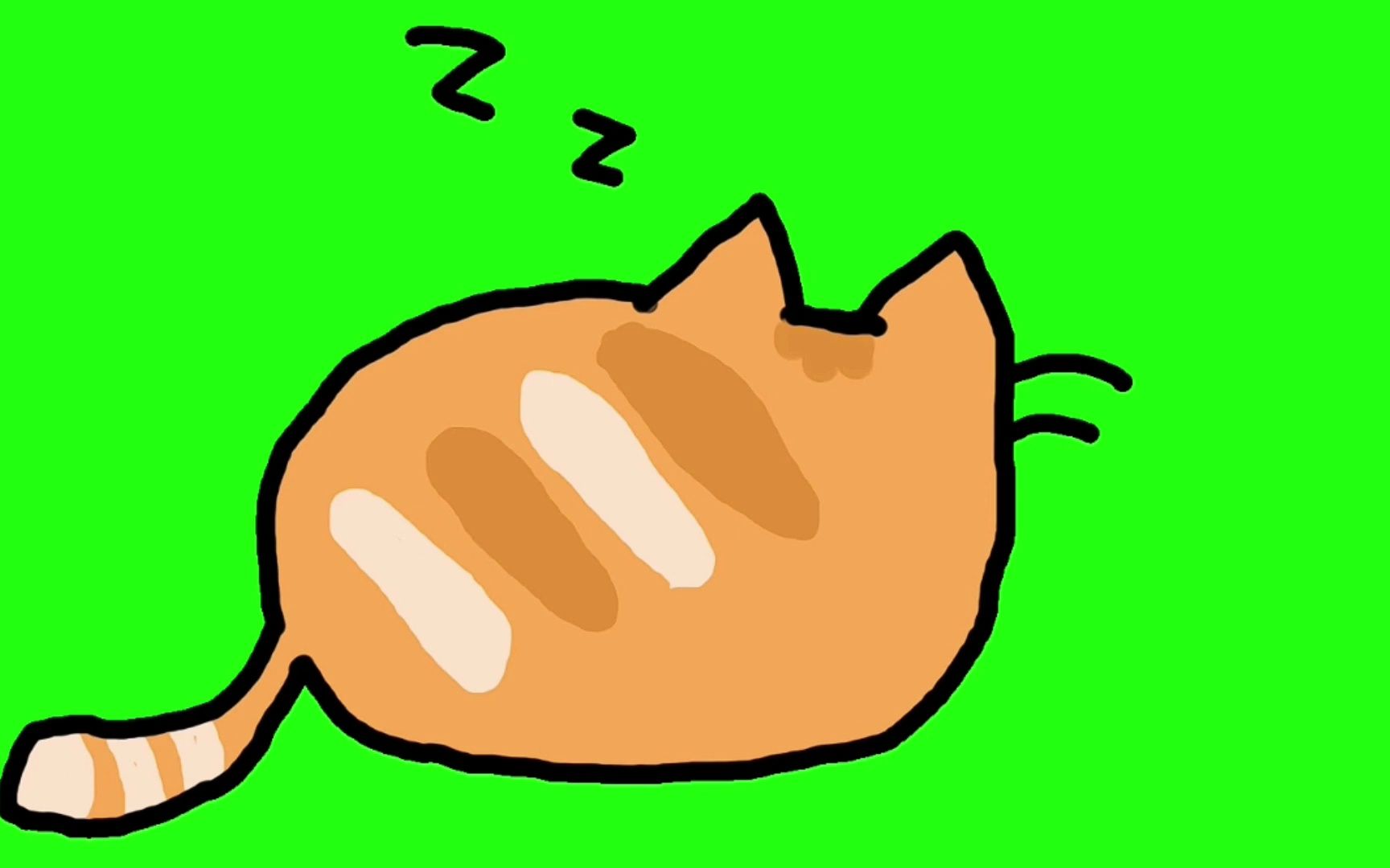 绿幕视频素材睡觉猫