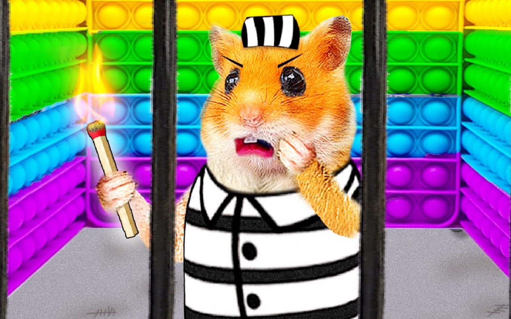 小仓鼠大冒险:流行迷宫越狱挑战,仓鼠百折不挠的精神能成功吗?