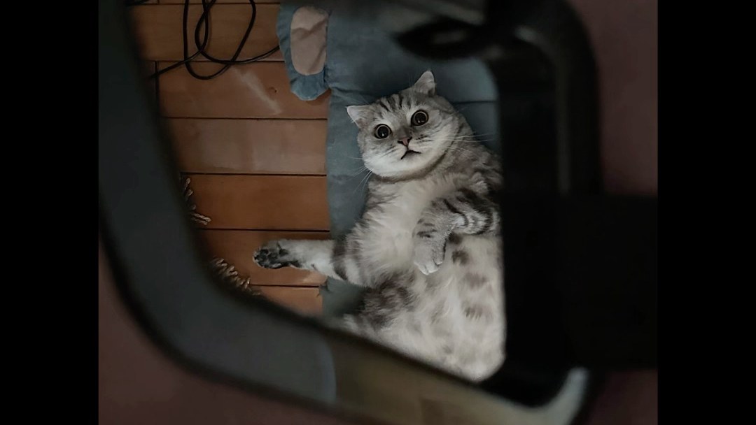 dominic fike - ant pile