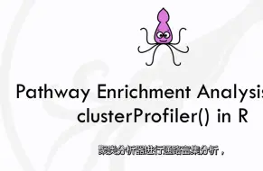 Download Video: R 语言使用clusterProfiler（）的途径富集分析教程