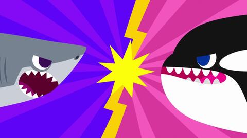 棘龙vs霸王龙雷克斯龙pinkfong 儿童 幼儿英语 哔哩哔哩 Bilibili 棘龙vs霸王龙雷克斯龙pinkfong 儿童 幼儿英语 哔哩哔哩 Bilibili