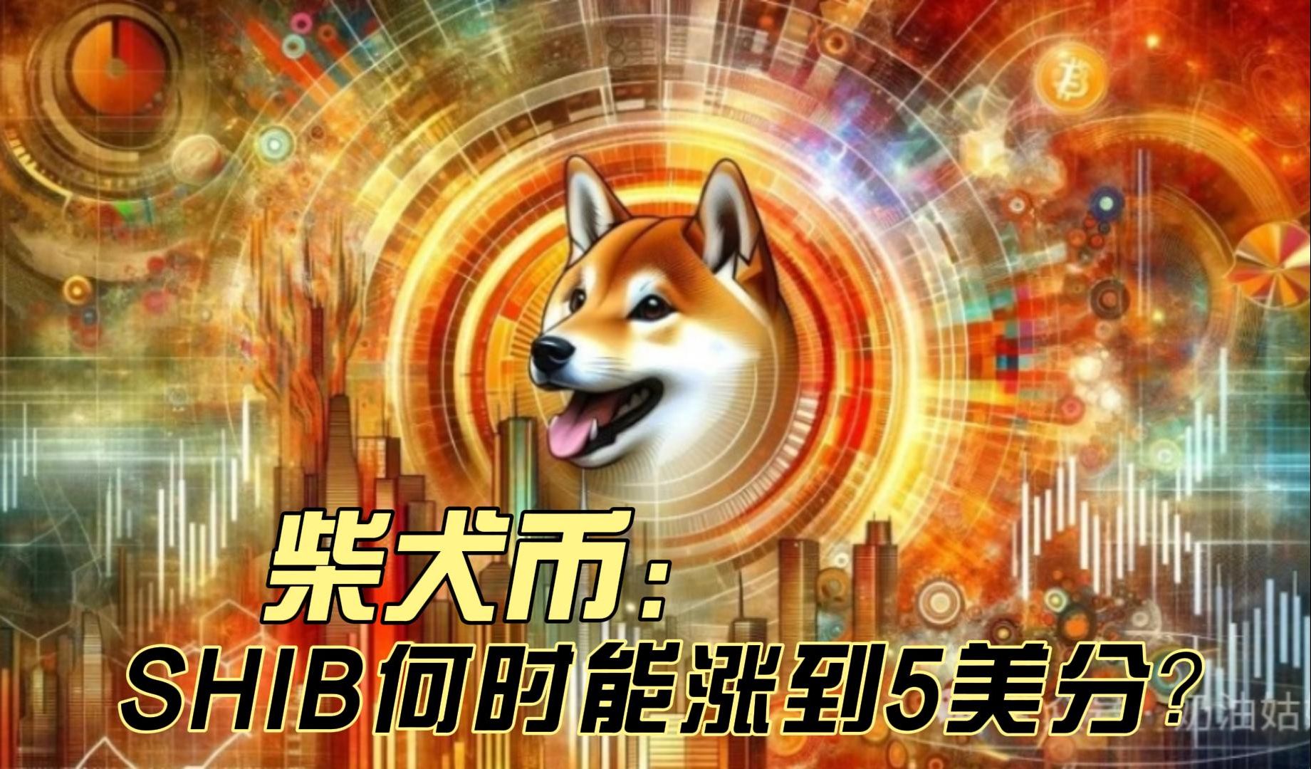 柴犬币创始人图片