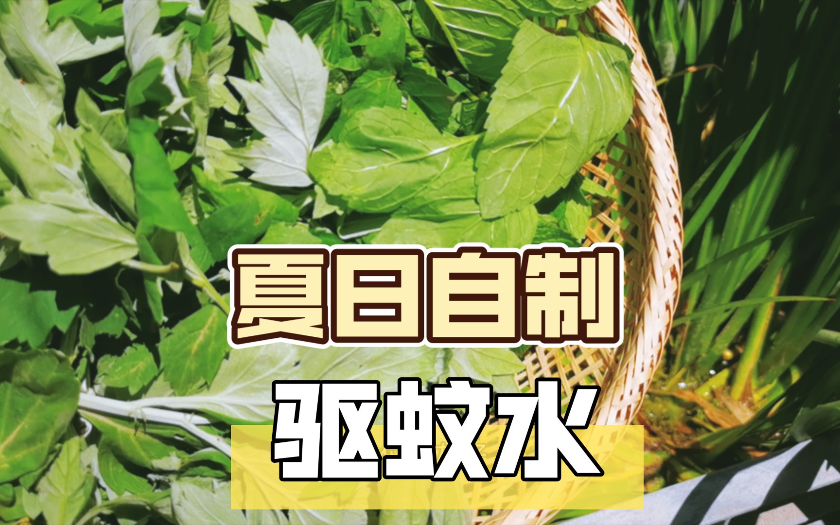 【夏月日常】自制驱蚊水