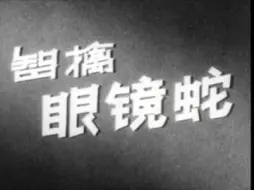 Télécharger la video: 经典译制片 智擒眼镜蛇 1960