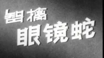 经典译制片 智擒眼镜蛇 1960