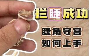 Download Video: 睫角守宫如何上手变可爱小狗！