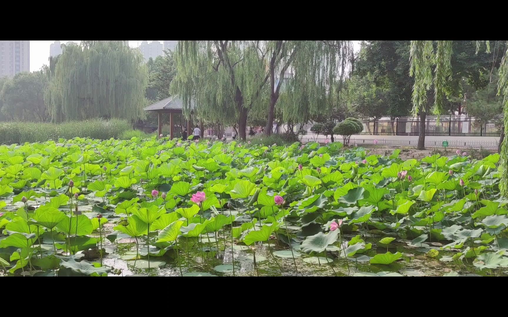 保定植物園