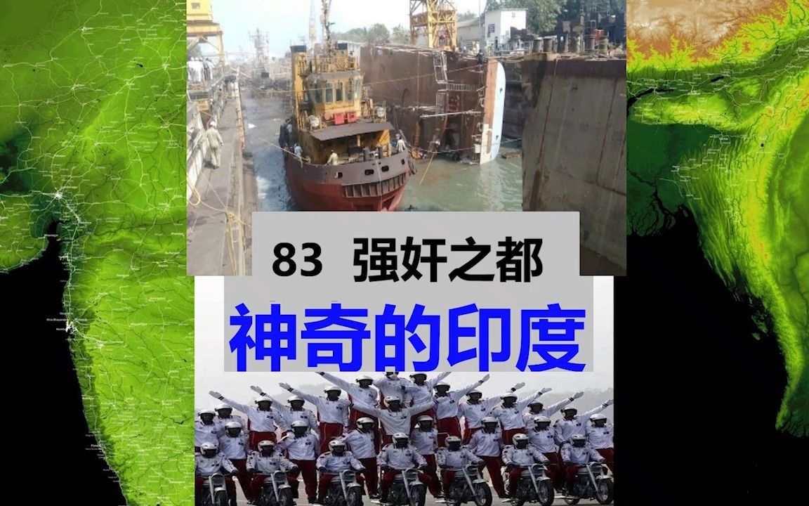 83 强健之都 三哥 :人与动物 一身性福哔哩哔哩bilibili