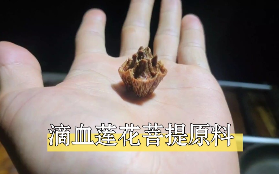 [图]小伙全程一把小刀，耗仨小时刮出了滴血莲花菩提原料