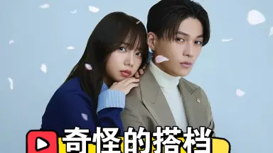 齊藤京子-哔哩哔哩_Bilibili