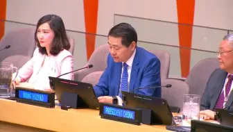 王辉耀联合国安理会非正式会议演讲：反对单边霸凌，经济全球化势不可挡