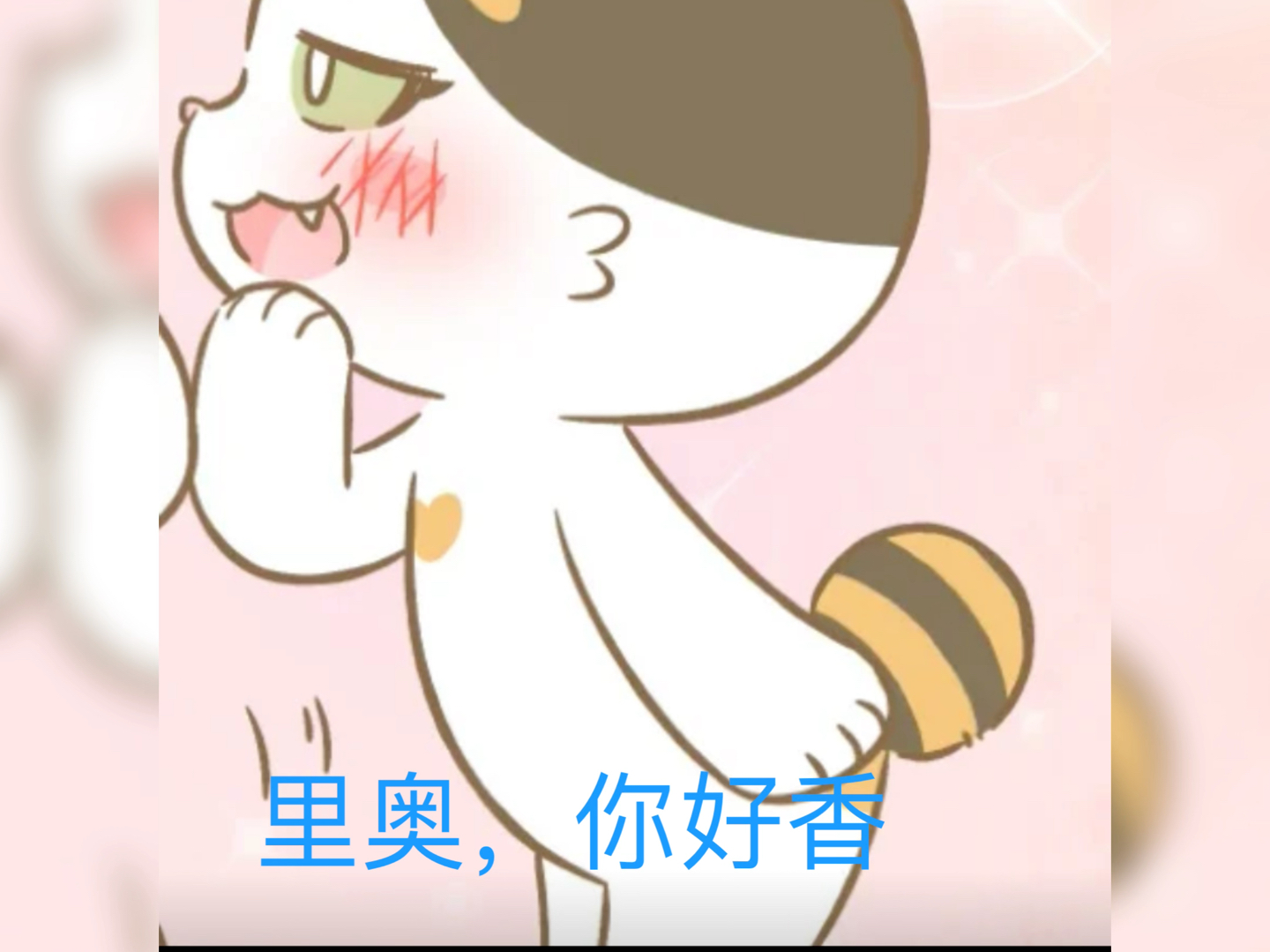 琪奥cp哔哩哔哩bilibili