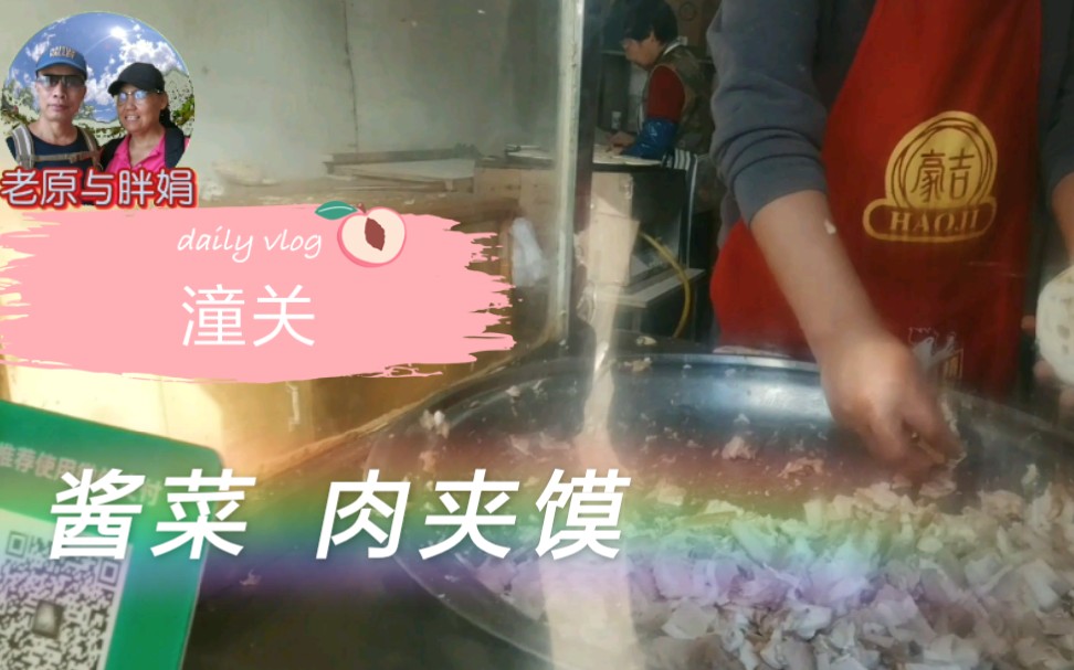 老两口自驾游到潼关,美景,酱菜,肉夹馍,还有意外发现哔哩哔哩bilibili