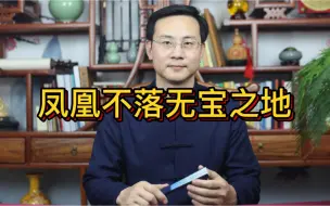 Video herunterladen: 龙吟师傅：凤凰不落无宝之地