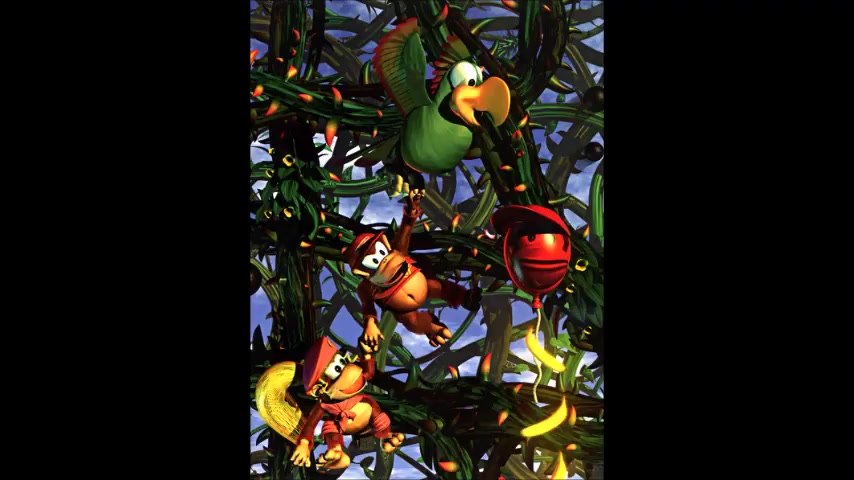 [图]Donkey Kong Country 2- Stickerbush Symphony (NES Multichip)