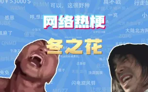 Download Video: 【网梗课代表】冬之花是什么梗？