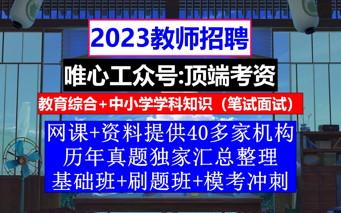 教师招聘,教招报名网站进不去怎么办,公办学校教师招聘信息哔哩哔哩bilibili