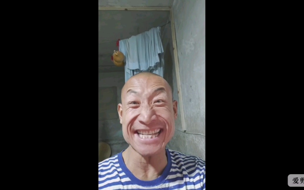 新年快乐奥利给朝阳冬泳怪鸽励志