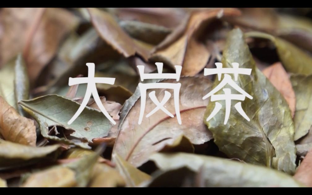 活动作品非遗大岗茶制作全攻略