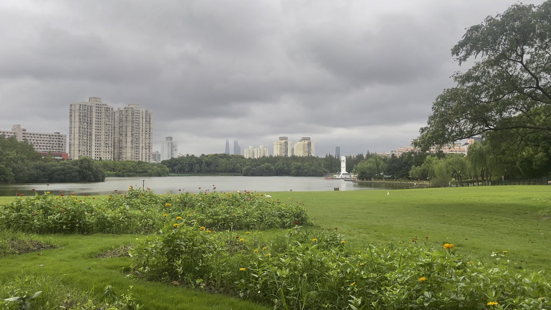 上海黄兴公园大草地