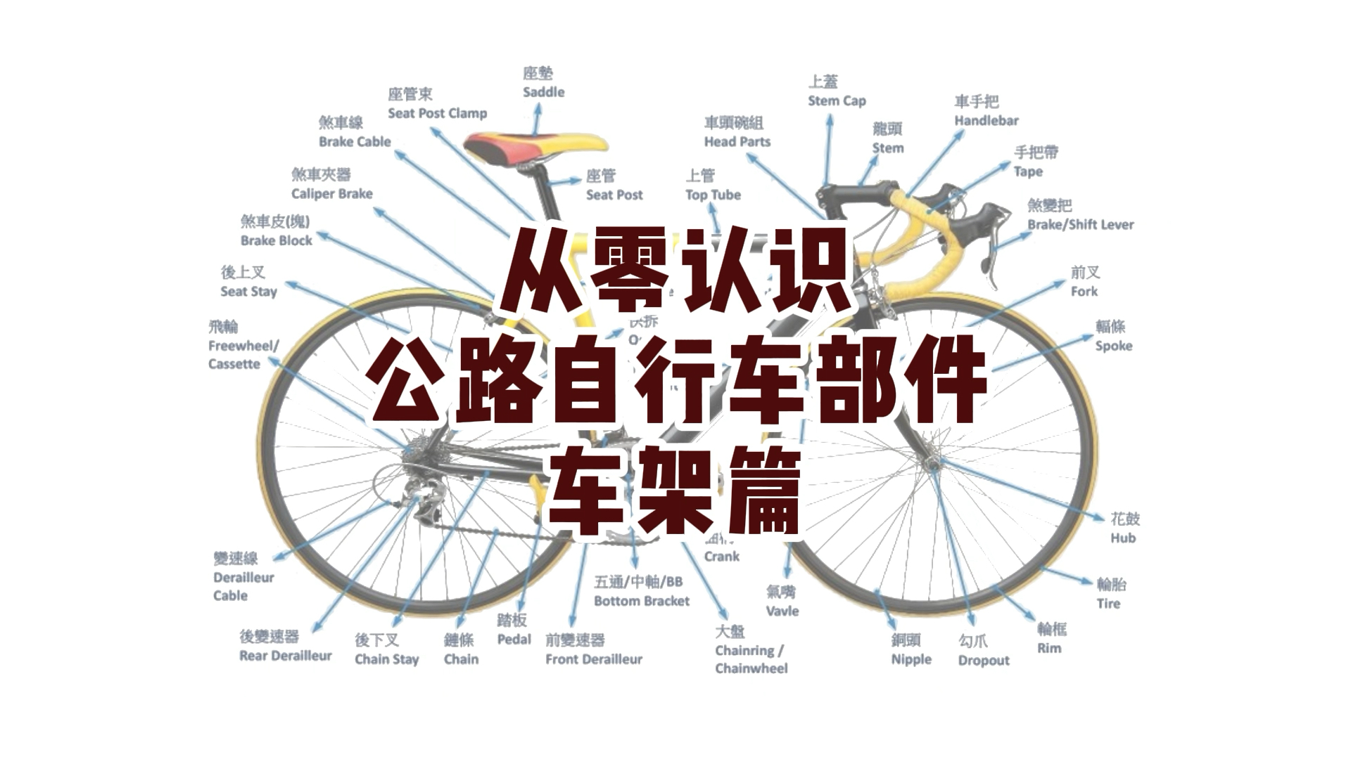 从0认识公路自行车部件之车架篇哔哩哔哩bilibili