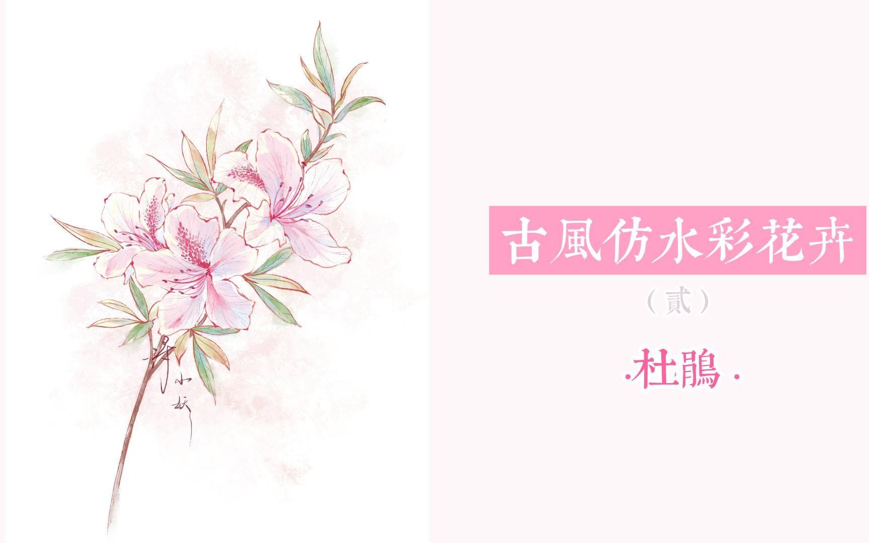 【板绘过程】古风花卉(贰) | ⷮŠ杜鹃花ⷥ“”哩哔哩bilibili