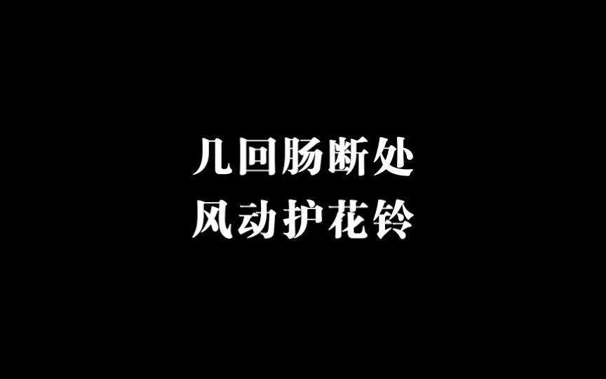 【女S】最喜欢的玩具哔哩哔哩bilibili