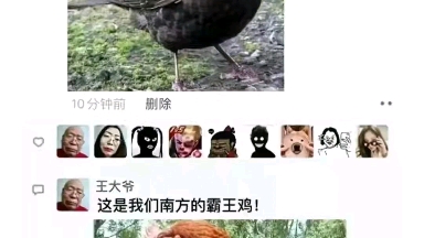 王大爷合集,陈年老段子哔哩哔哩bilibili