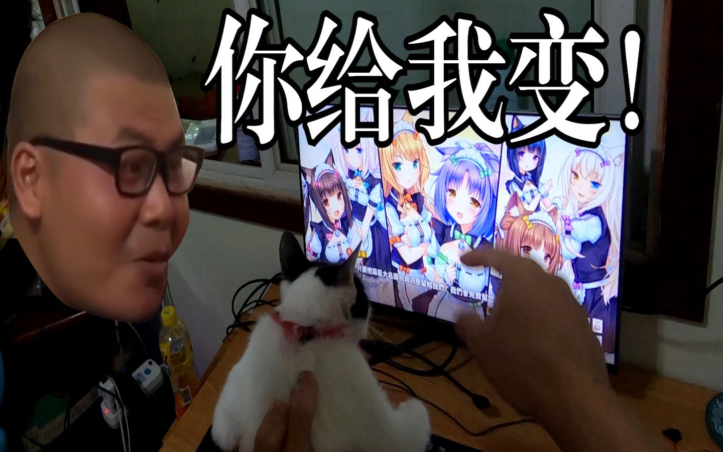 给猫看艹猫,迫使他变成美少女哔哩哔哩bilibili