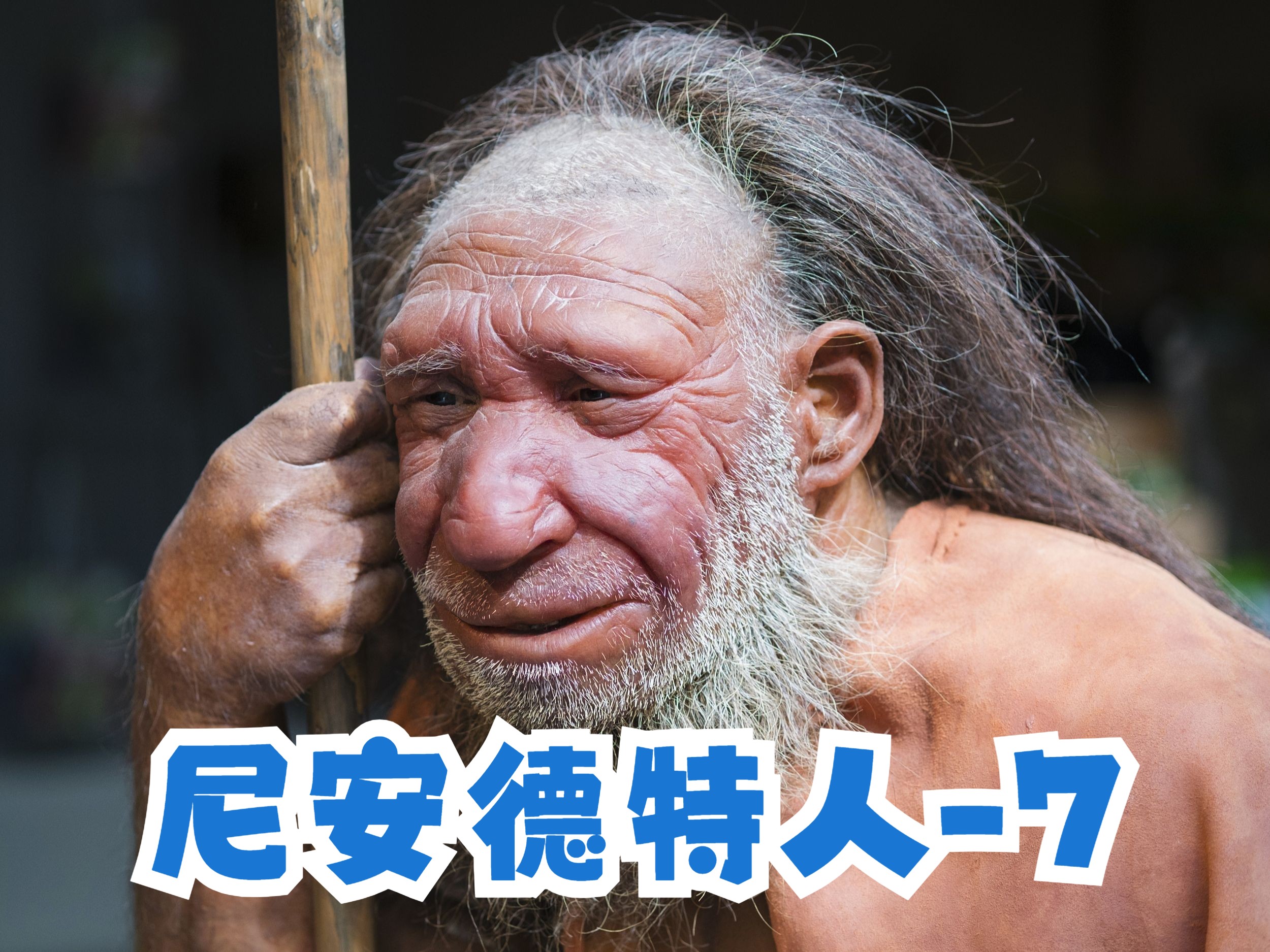 尼安德特人,求偶[7],规则教学,neanderthal