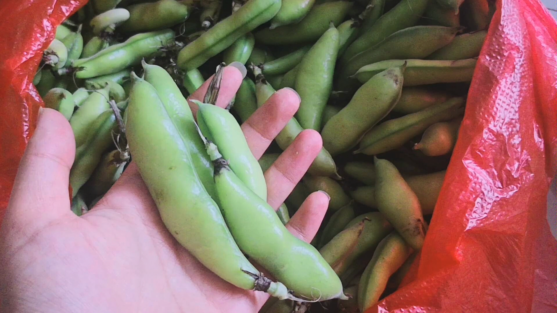 豆燜飯家庭快手菜懶人菜譜出鍋太香了隔壁狗子都饞哭了好嗎