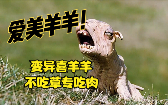 喜羊羊变异了,不吃草专吃肉