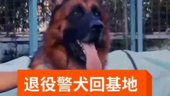 糯米