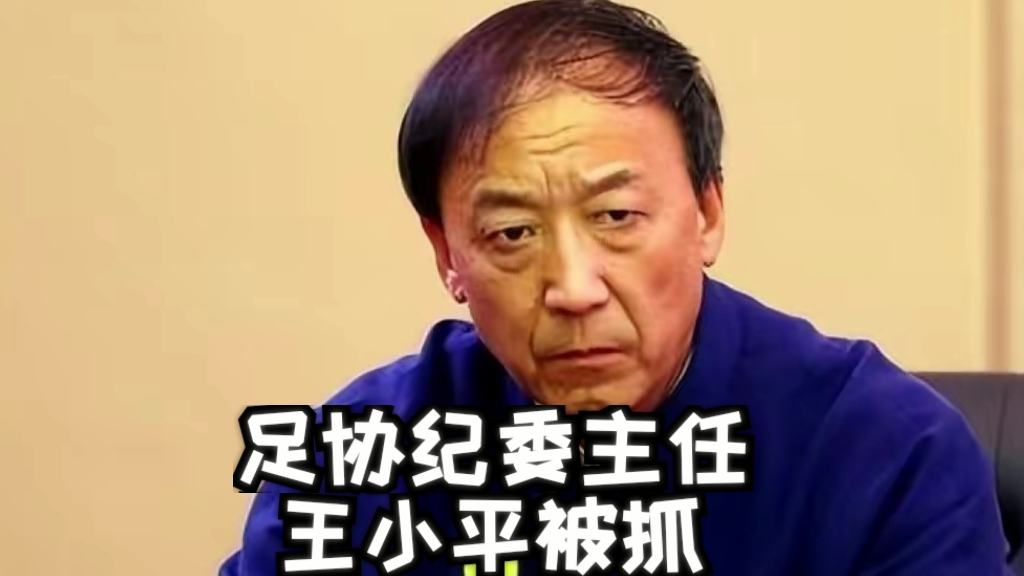 足协王小平被抓哔哩哔哩bilibili