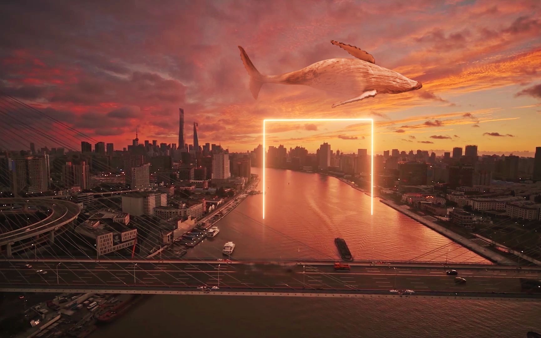 活动作品一鲸落万物生