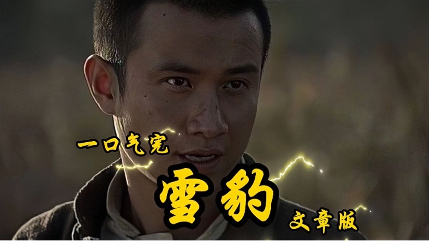 2010年上映《雪豹》一口气5个小时看完抗战神剧天花板,体验周卫国的