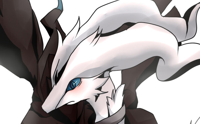 口袋妖怪液体水晶第九期水君降临