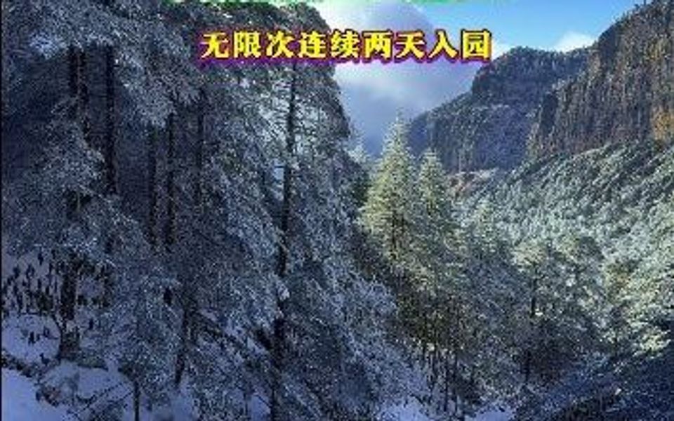 云南省禄劝转龙镇轿子雪山下雪了哔哩哔哩bilibili