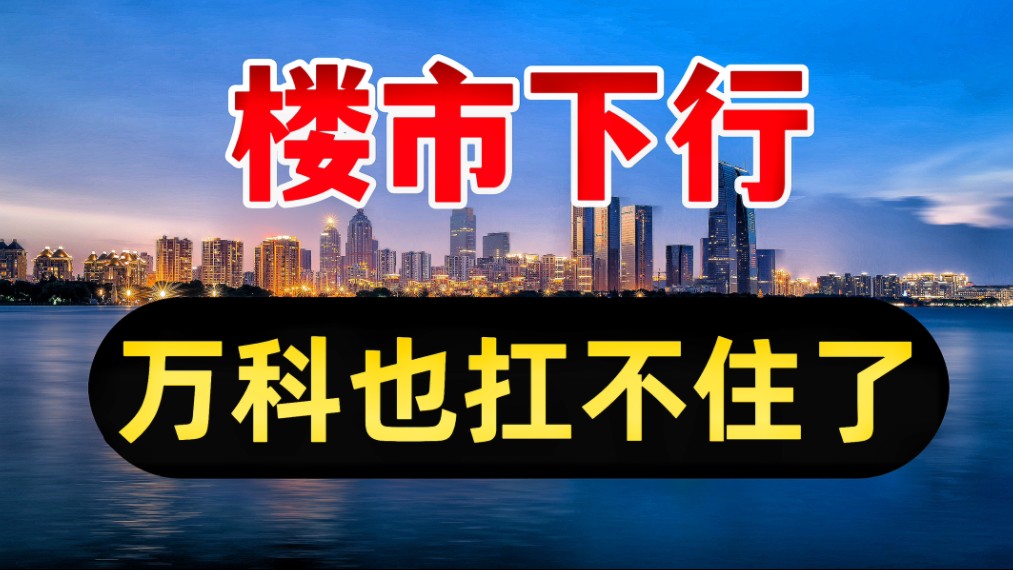 房地产销售大跌,连万科也扛不住了?哔哩哔哩bilibili